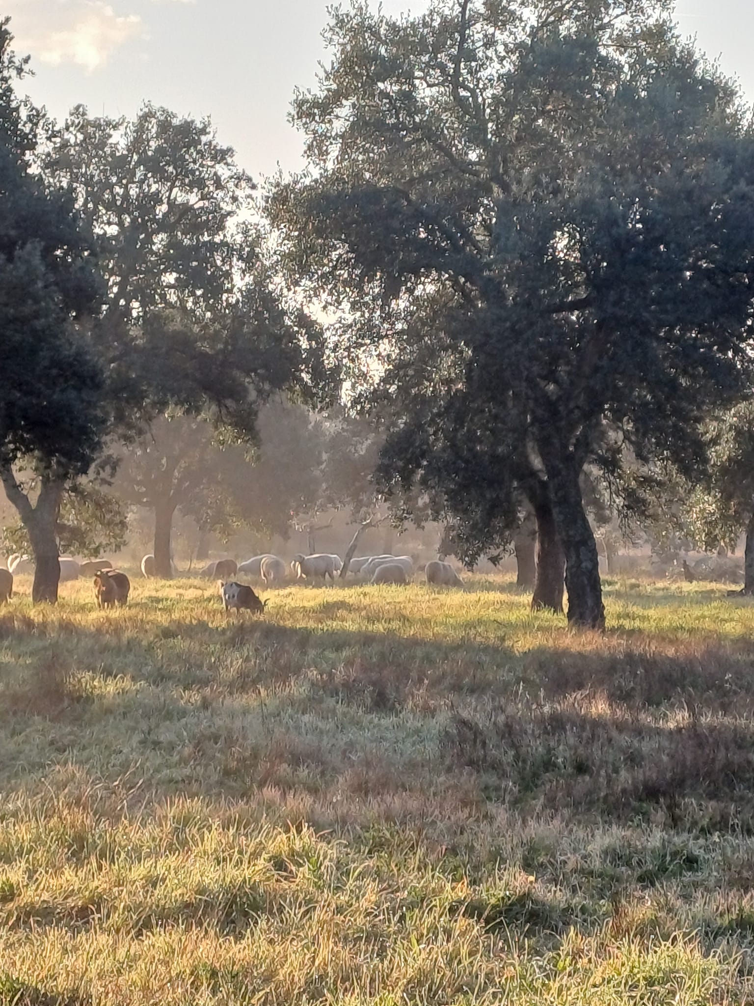 Quinta do Nicho