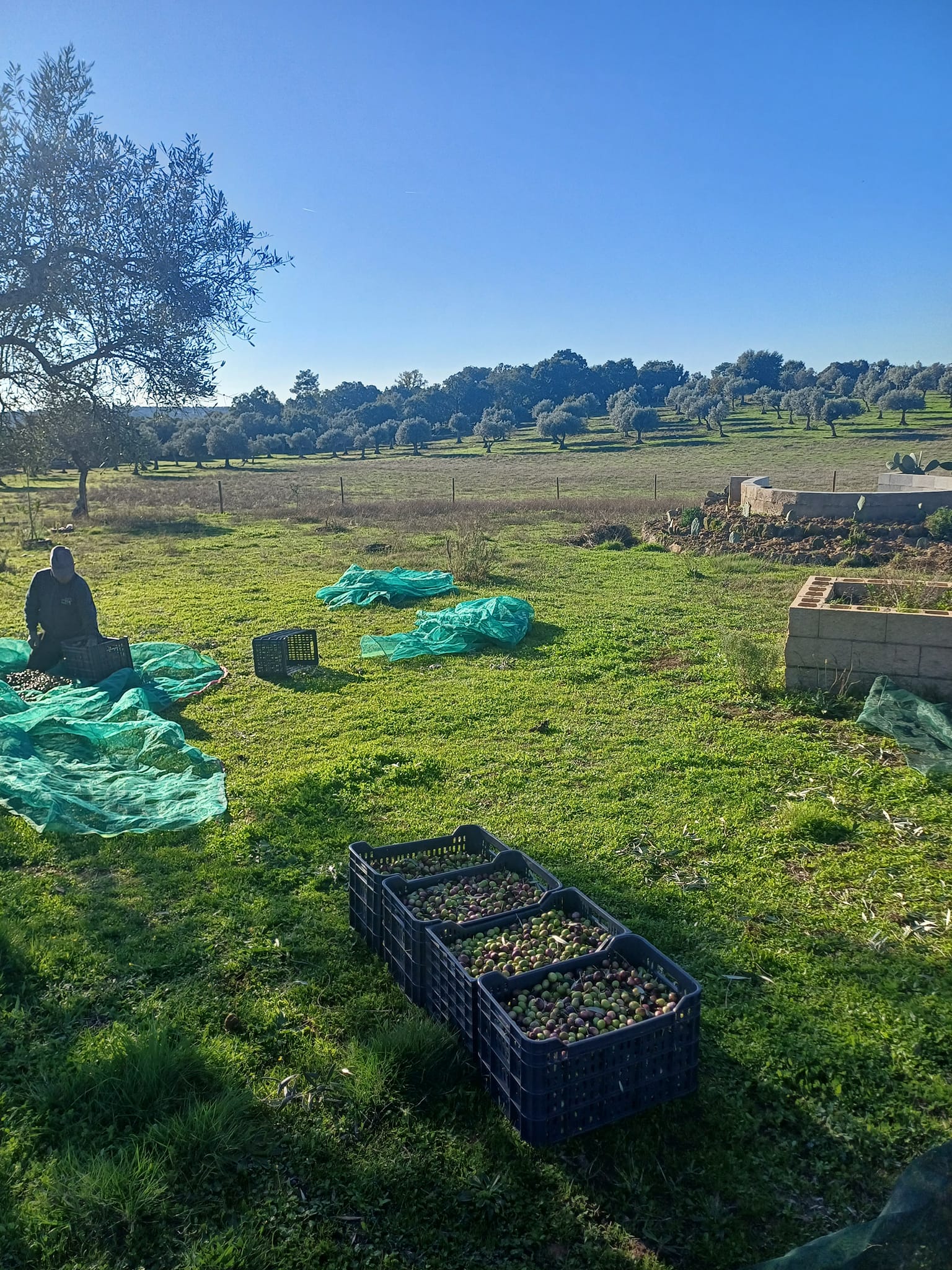 Quinta do Nicho